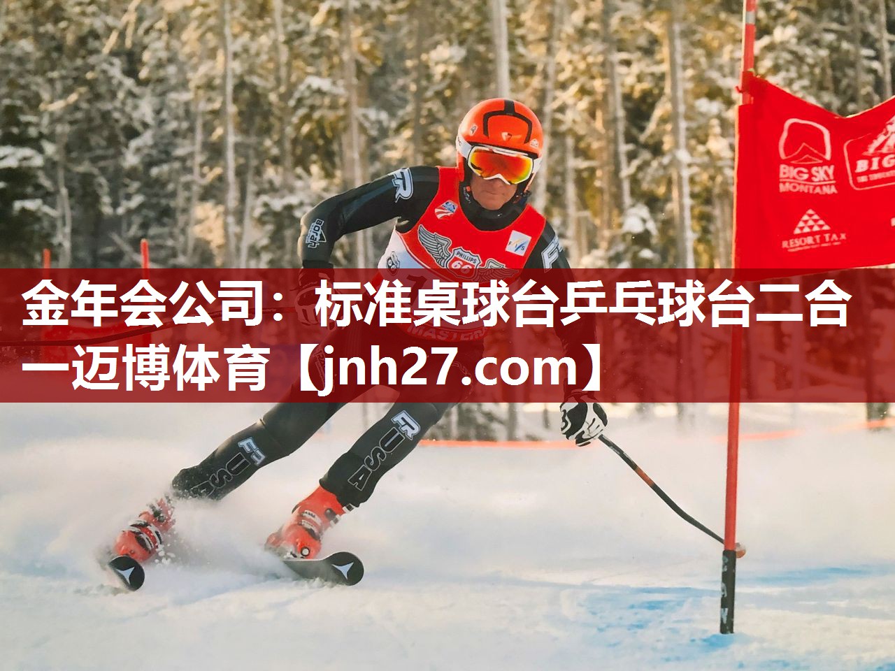 金年会公司：标准桌球台乒乓球台二合一迈博体育