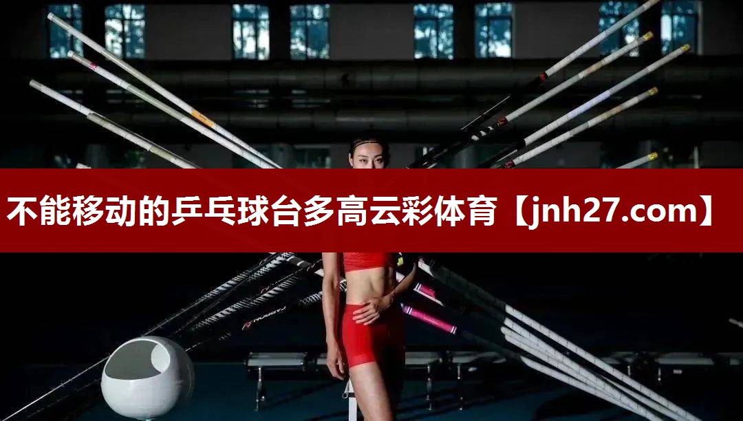 不能移动的乒乓球台多高云彩体育