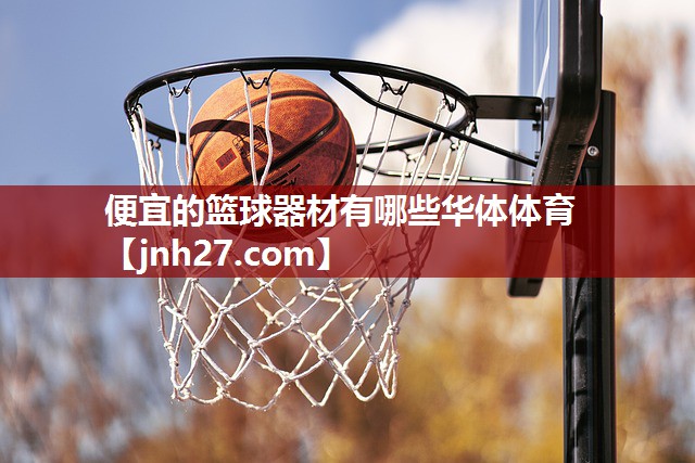 便宜的篮球器材有哪些华体体育