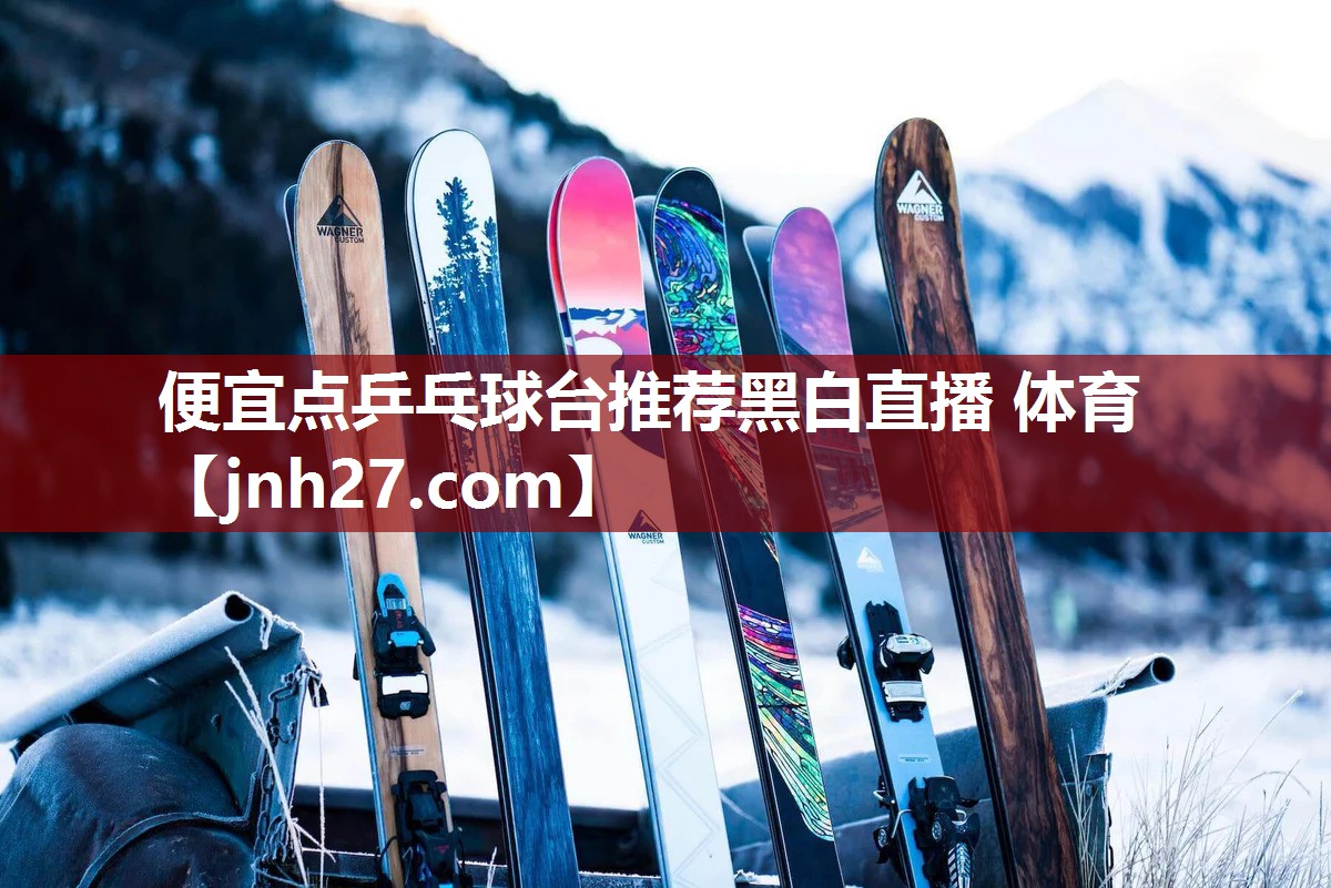 便宜点乒乓球台推荐黑白直播 体育