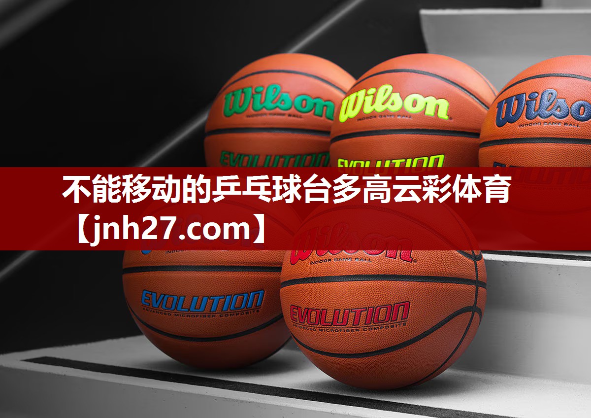 不能移动的乒乓球台多高云彩体育
