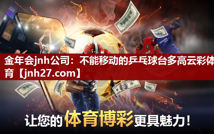 金年会jnh公司：不能移动的乒乓球台多高云彩体育