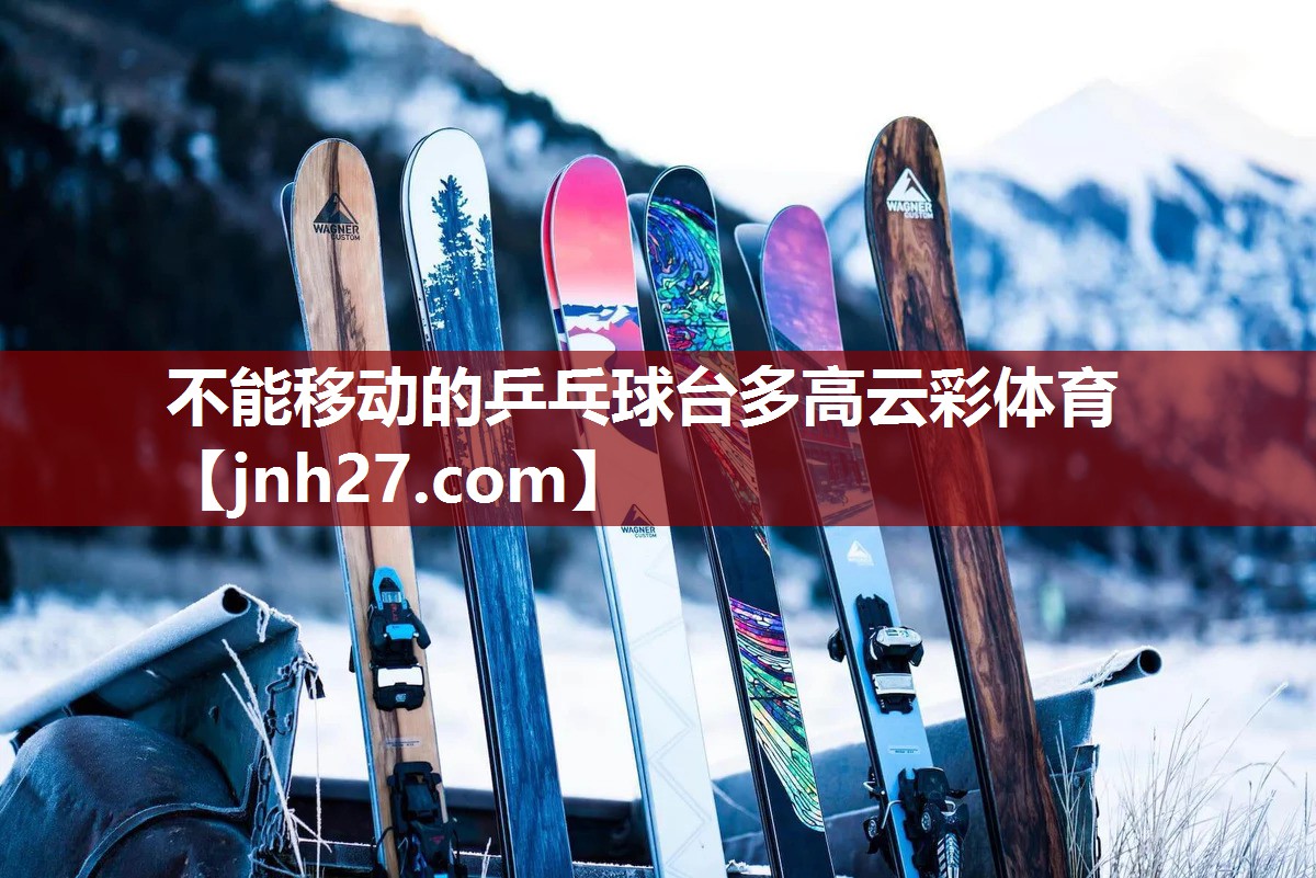 不能移动的乒乓球台多高云彩体育