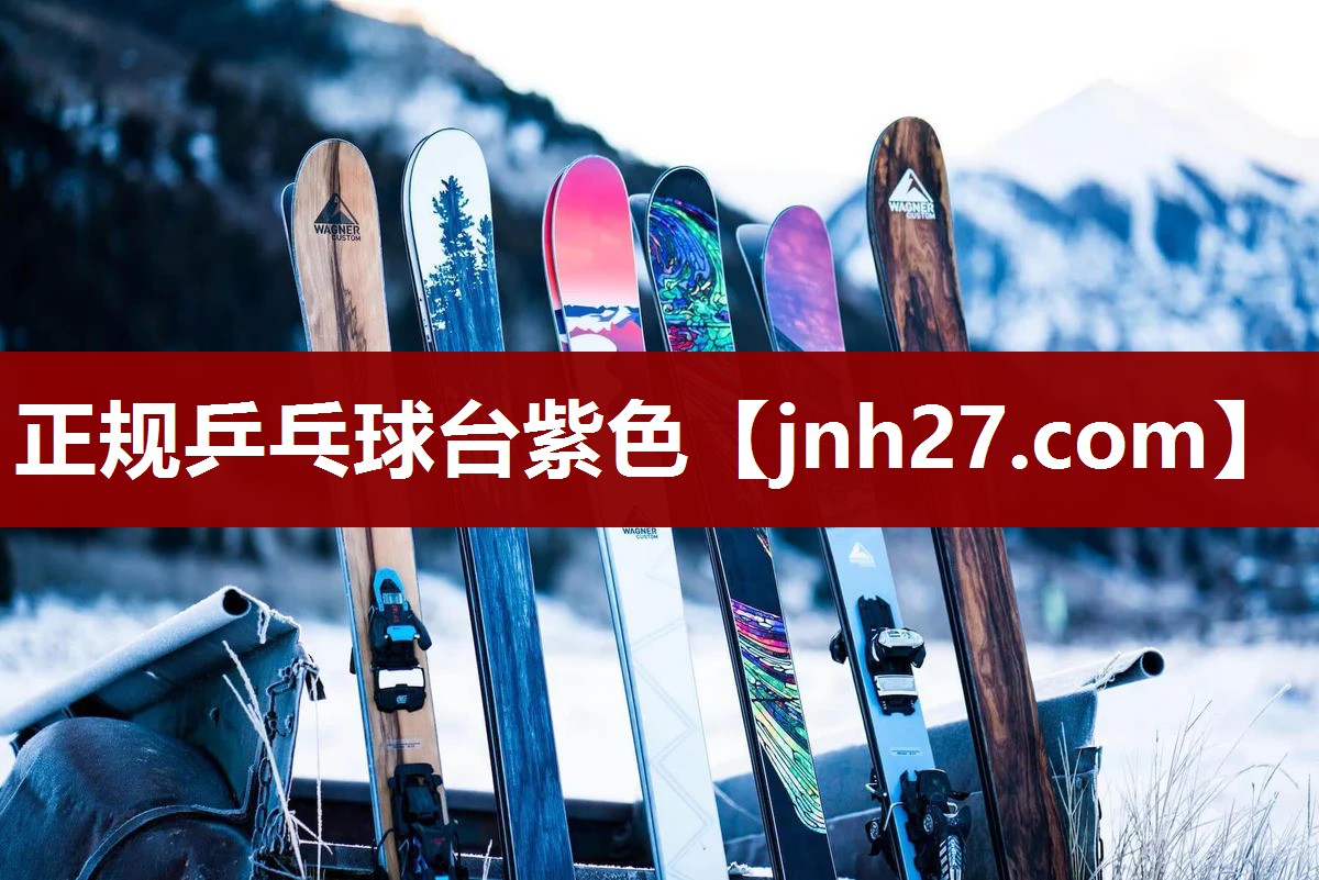 正规乒乓球台紫色 正规乒乓球台紫色